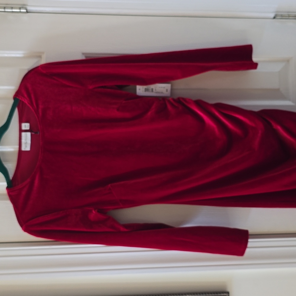 PREMIER AMOUR BRAND WOMENS PETITE CHRISTMAS RED VELVETEEN EVENING DRESS SIZE 10P